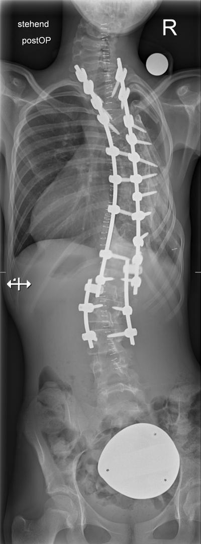 Slide 6