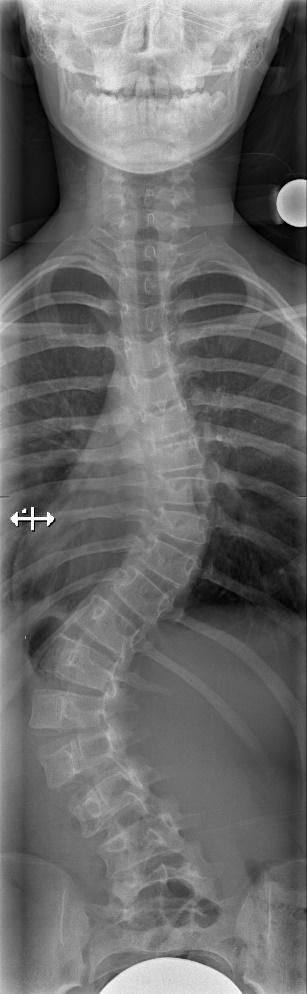 Slide 19